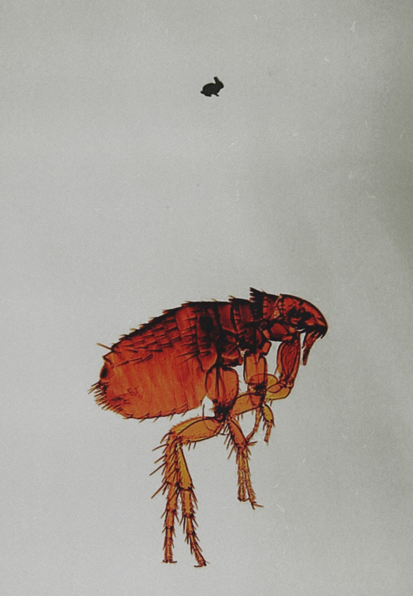 Prints and drawings between 2005 – 2009